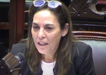 Carla Carrizo: “La ley es necesaria porque es una cuestión de salud pública”