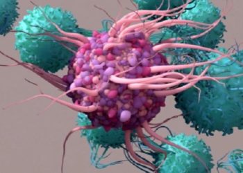 Unas bacterias muertas pueden tener la clave para un tratamiento contra el cáncer mucho menos lesivo