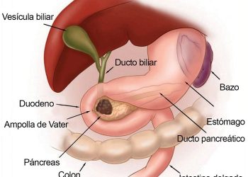 Importante avance contra el cáncer de páncreas