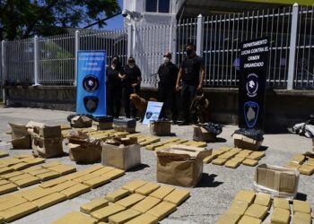 Operativo Reyes Verdes: la Ciudad incautó más de 200 kilos de marihuana que venían desde Misiones