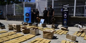 Operativo Reyes Verdes: la Ciudad incautó más de 200 kilos de marihuana que venían desde Misiones