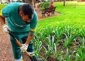 En el verano, las plazas de Barrio Norte se siguen manteniendo día a día
