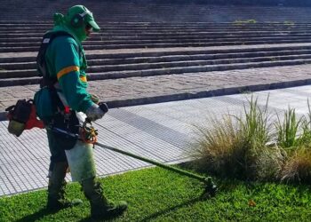 Con la llegada de los mosquitos, son importantes las fumigaciones en plazas y parques