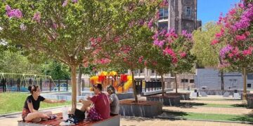 La Plaza Emilio Mitre está más florida que nunca