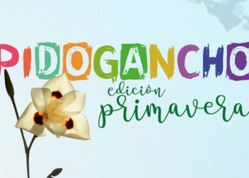 Infancias: Pido Gancho 2022 en los jardines del CONTI
