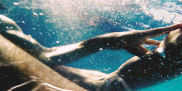 Ultima proyección del Ciclo «Cine poco exhibido 2023» de PROA21