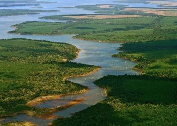 Ciclo de verano de Cine Socioambiental