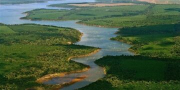 Ciclo de verano de Cine Socioambiental