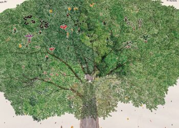 Taller de corporalidades «Manos como ramas, pies como raíces»