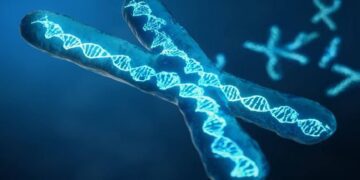 Aniversario de la finalización del Proyecto Genoma Humano (ADN)