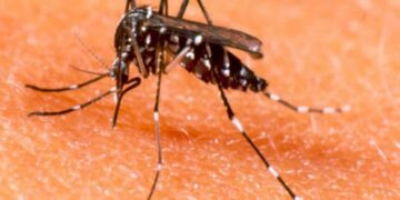 Muertes por Dengue en la Ciudad suma victimas a un brote histórico en el país