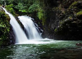 Día Internacional de los Trópicos: retos y oportunidades para los seres humanos