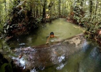 La Película «Amazônia Viva», una experiencia inmersiva en 3D
