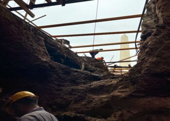 Este domingo, la Línea D de SUBTE operará con servicio limitado