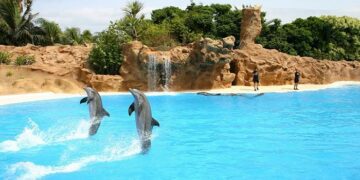 Día Mundial de los Delfines en Cautiverio