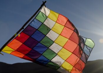 Convocatoria para la Feria del Libro sobre Pueblos Originarios