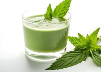 Avances y desafíos en el uso de stevia líquida en la elaboración de alimentos