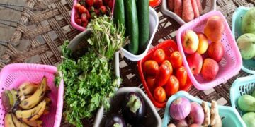 Los hábitos domésticos son responsables de casi 570 millones de toneladas de alimentos desperdiciados cada año en todo el mundo