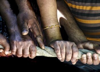 Se celebra hoy el Día Internacional de la Solidaridad