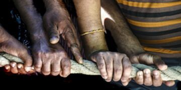 Se celebra hoy el Día Internacional de la Solidaridad