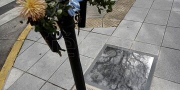 Comenzó el juicio al psiquiatra del hombre que mató al policía Roldán en la puerta del Malba en el 2020