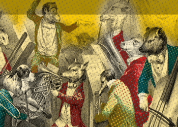Música en Plural: dinamismo y variedad sonora en la Biblioteca Nacional