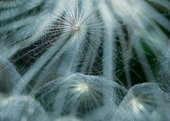 Dos performances en el ciclo «Poesía en La Terraza» del Conti