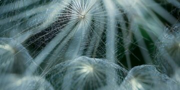 Dos performances en el ciclo «Poesía en La Terraza» del Conti