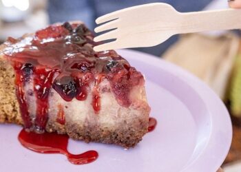 Llega una nueva edición del “Festival Vegano de Sabe La Tierra”