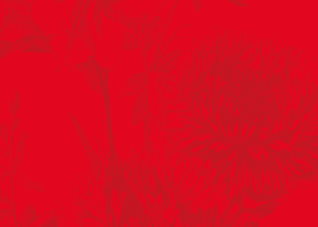 COAS anunció que no seguirá adelante por la crisis económica