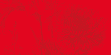 COAS anunció que no seguirá adelante por la crisis económica