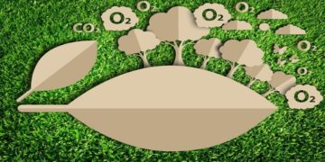 Argentina tiene la primera Bolsa para el mercado de carbono