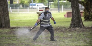 Invasión de mosquitos: Operativos de desinfección en la Ciudad