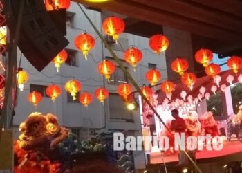 La Comunidad China se prepara para recibir al Dragón de Madera