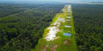 Día Mundial de los Humedales: su relación con el bienestar humano