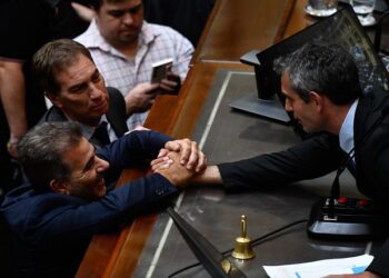 Entre manifestaciones y represión, fue aprobada la «Ley de Bases» en general