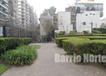 Paseo por la Plaza del Lector y un rato de distención