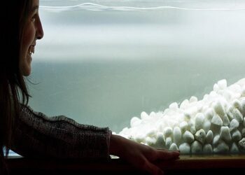 Este fin de semana recorre el Museo Participativo de Ciencias