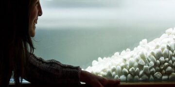 Este fin de semana recorre el Museo Participativo de Ciencias