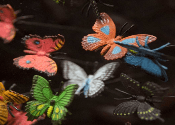 Charla sobre León Ferrari y el Centro Cultural Recoleta