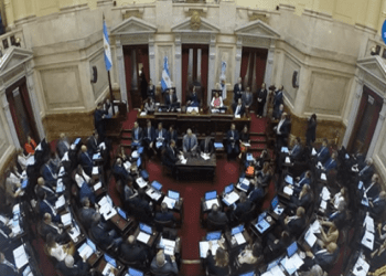 Comienza a tratarse en comisiones del Senado la «Ley de Bases»