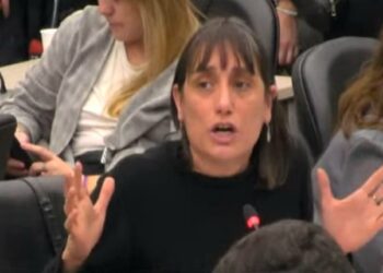 La diputada Del Plá tuvo su última intervención en Diputados