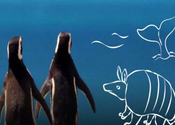 Día de los Océanos 2024: Documental en el Domo del Planetario