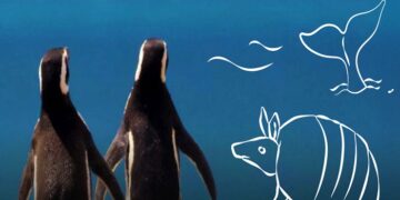 Día de los Océanos 2024: Documental en el Domo del Planetario