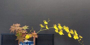 Charla sobre relaciones sociales en Japón, con valores y pautas de conducta