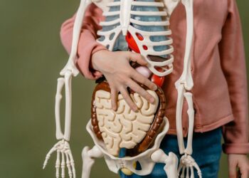 Donación de órganos y Dengue