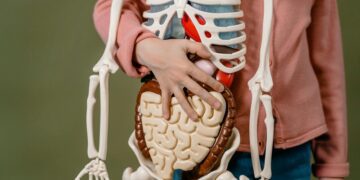 Donación de órganos y Dengue