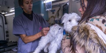 Más servicios en tu barrio: la Ciudad lleva sus oficinas móviles a Núñez y Parque Chacabuco