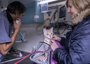 La Ciudad lleva sus oficinas móviles a Recoleta