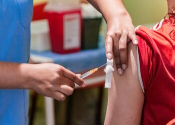 Plan Integral de Prevención contra el Dengue: avanza el proceso de vacunación